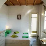 Bella Vista Apartment Naousa (Paros)